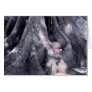 Banyan Tree