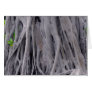 Banyan Tree Trunk