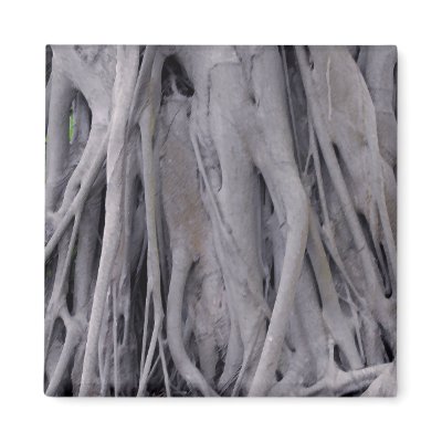 Banyan Tree Trunk by MaeFlowers