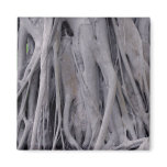 Banyan Tree Trunk magnets