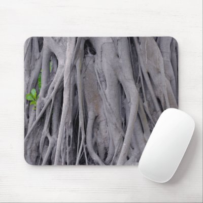 Banyan Tree Trunk by MaeFlowers