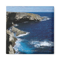 Banzai Cliff Magnets
