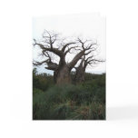 Baobab Tree Greeting Card