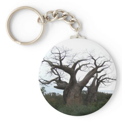 Baobab Tree Keychain by ashlandt