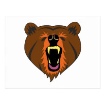 Bär bear postkarten