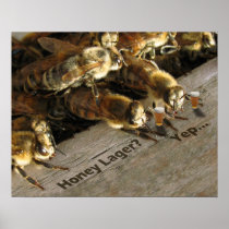 Bar Bees_Honey Lager? Poster