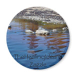 Bar Harbor - Rock Fridge Magnets
