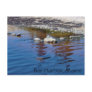 Bar Harbor - Rock Post Cards
