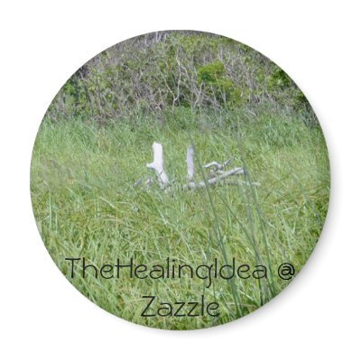 Bar Harbour - Branch Magnets by TheHealingIdea