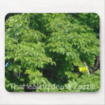 Bar Harbour - Leaves Mousepads