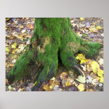 Bar Harbour Maine Posters