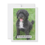 Barack Obama Portuguese Water Dog Invitations