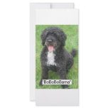 Barack Obama Portuguese Water Dog Rack Card Template
