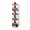 Barack On Deck! skateboards