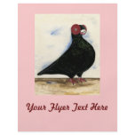 Barb Pigeon Watercolor flyers
