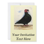 Barb Pigeon Watercolor Custom Invite