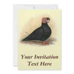 Barb:  Standard Black Personalized Invites