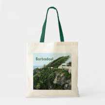 Barbados Bag