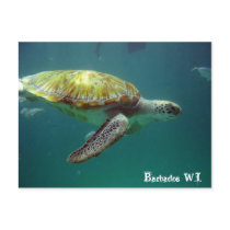 Barbados W.I. Postcards