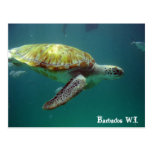 Barbados W.I. Postcards