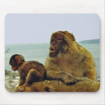 Barbary Apes Mousepad