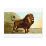 Barbary Lion Post Card