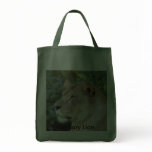 Barbary Lion-set-1-008, Barbary Lion Canvas Bags