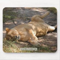 Barbary Lion-toy-021