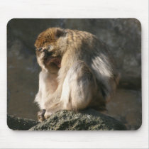 Barbary Macaque Mousepad