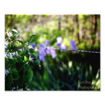 Barbed Wire Fence Photo Art