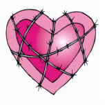barbed wire heart photo sculptures