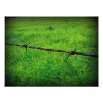 Barbed Wire