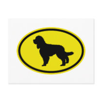 Barbet