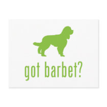 Barbet