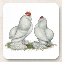 Barbu d'Everberg Chickens Coasters
