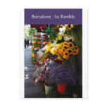 Barcelona : La Rambla Post Card