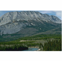 Bare Ridge Photo Cutout