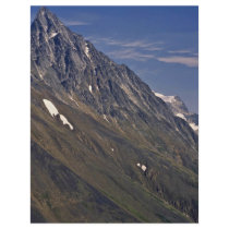 Bare Steep Mountain Full Colour Flyer