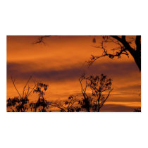 Bare Tree At Sunset Business Card Templates