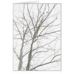 Bare Tree Folding Card