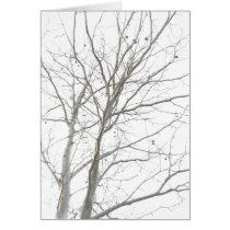 Bare Tree Folding Card
