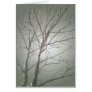 Bare Tree Folding Card 2