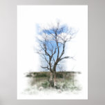 Bare Tree in the Pasture Print