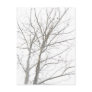 Bare Tree Postcard