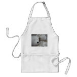 Barely There Aprons
