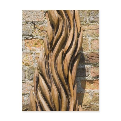 Bark Postcard by blackbylight