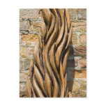 Bark postcards