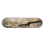 Bark Skate Boards