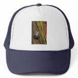barknot trucker hats