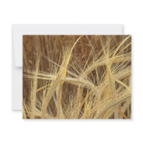 Barley Personalized Announcement